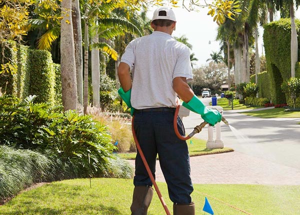 About Benton TN Pest Control Pros